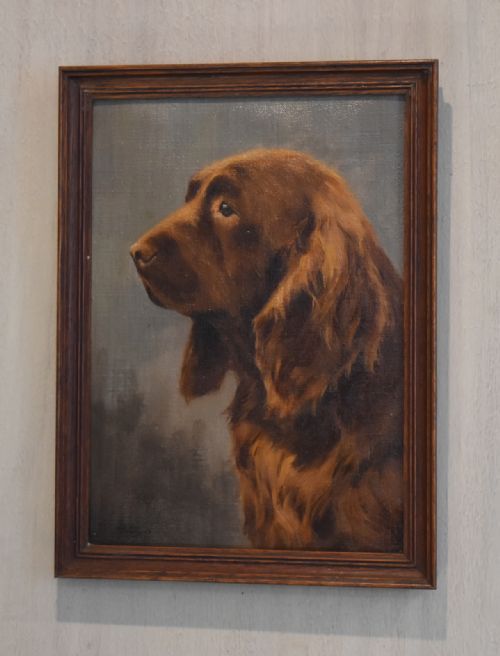 dog oil painting of a sussex spaniel by thomas paterson - CATEGORY: ANTIQUE ART - DATED 1920