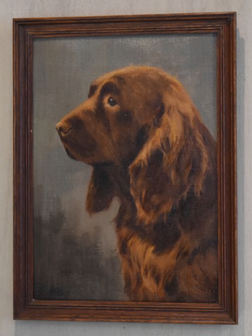DOG OIL PAINTING OF A SUSSEX SPANIEL BY THOMAS PATERSON - ADDITIONAL PHOTO 1