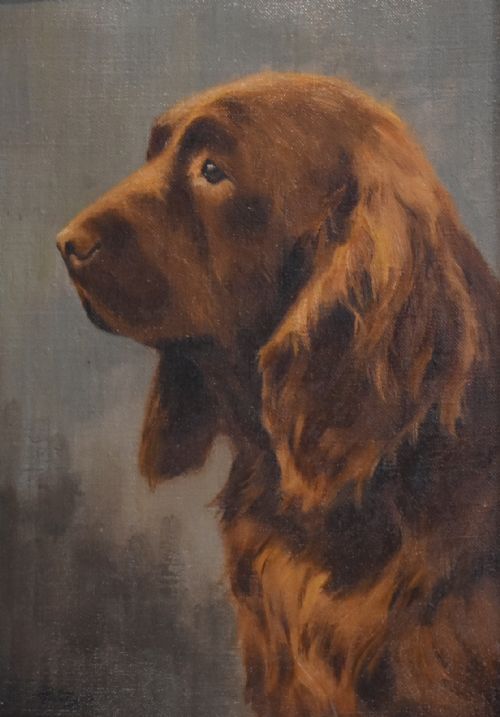 DOG OIL PAINTING OF A SUSSEX SPANIEL BY THOMAS PATERSON - ADDITIONAL PHOTO 2