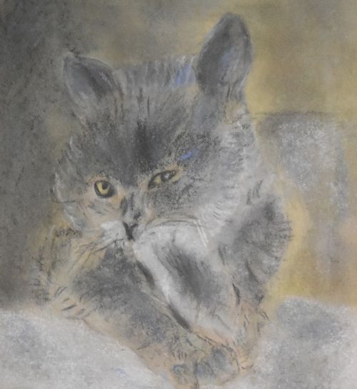 CHARMING PASTEL DRAWING OF A CAT - ADDITIONAL PHOTO 3