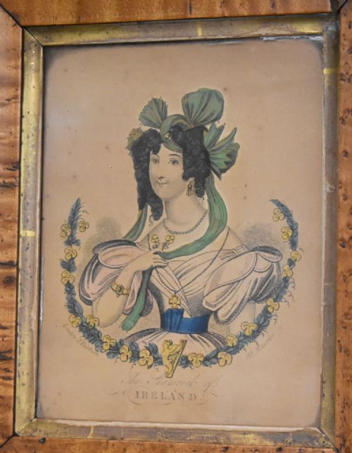 VICTORIAN PRINT THE SHAMROCK OF IRELAND - ADDITIONAL PHOTO 2