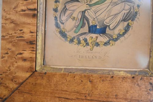 VICTORIAN PRINT THE SHAMROCK OF IRELAND - ADDITIONAL PHOTO 4