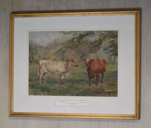 watercolour of prized cattle by alfred mayhew williams - CATEGORY: ANTIQUE ART - DATED 1880