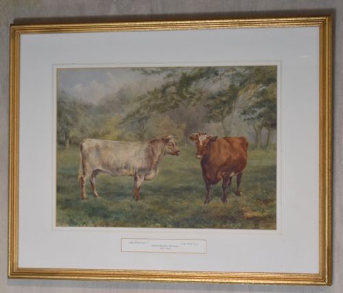 WATERCOLOUR OF PRIZED CATTLE BY ALFRED MAYHEW WILLIAMS - ADDITIONAL PHOTO 1
