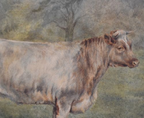 WATERCOLOUR OF PRIZED CATTLE BY ALFRED MAYHEW WILLIAMS - ADDITIONAL PHOTO 3