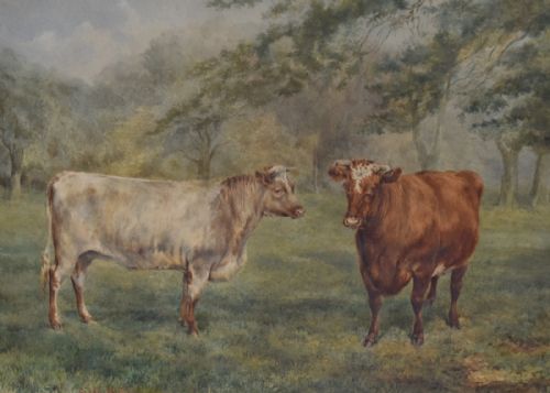 WATERCOLOUR OF PRIZED CATTLE BY ALFRED MAYHEW WILLIAMS - ADDITIONAL PHOTO 4