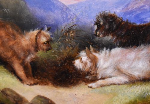 OIL PAINTING OF TERRIERS BY GEORGE ARMFIELD 18101893 - ADDITIONAL PHOTO 5
