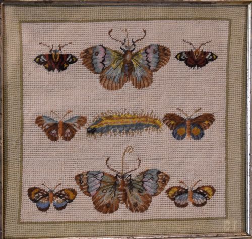 UNUSUAL VICTORIAN NEEDLEWORK OF BUTTERFLIES - ADDITIONAL PHOTO 2