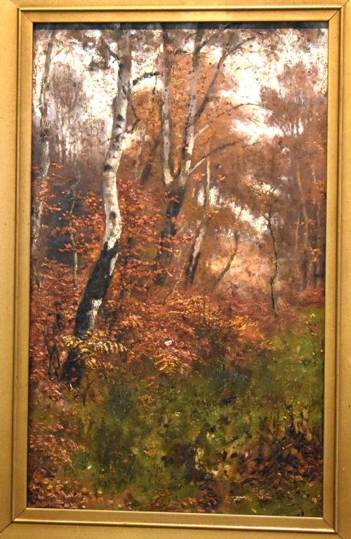 WOODLAND OIL PAINTING BY J MCINTYRE - ADDITIONAL PHOTO 1