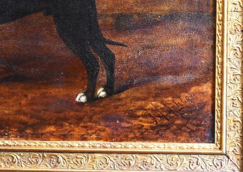 DOG PORTRAIT OIL PAINTING OF A GREAT DANE - ADDITIONAL PHOTO 3