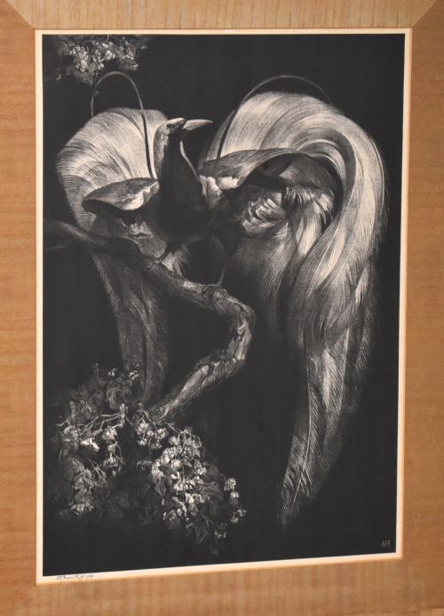 ART DECO PRINT OF A BIRD OF PARADISE BY ADRIAAN VAN THOFF - ADDITIONAL PHOTO 4