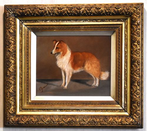 OIL OF A ROUGH COLLIE BY GEORGE EARL 18241908 - ADDITIONAL PHOTO 1