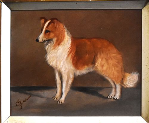 OIL OF A ROUGH COLLIE BY GEORGE EARL 18241908 - ADDITIONAL PHOTO 2