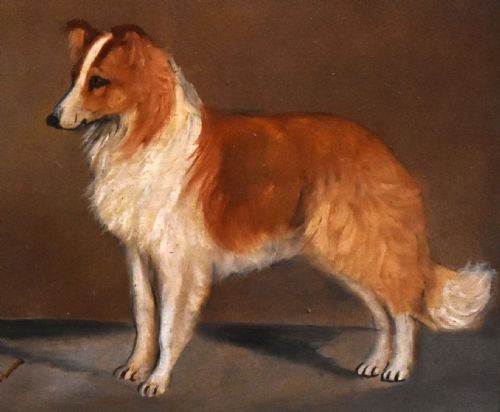 OIL OF A ROUGH COLLIE BY GEORGE EARL 18241908 - ADDITIONAL PHOTO 3
