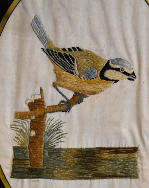 GEORGIAN NEEDLEWORK OF A BLUE TIT BY SUSANNAH CLEVELAND - ADDITIONAL PHOTO 2