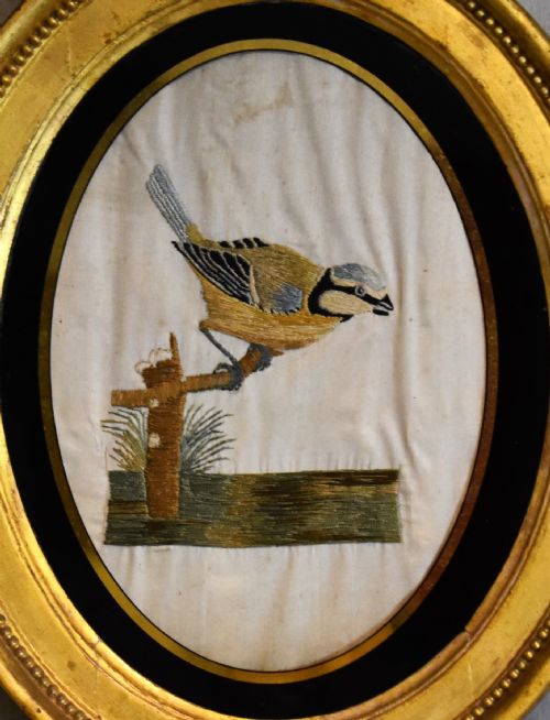 GEORGIAN NEEDLEWORK OF A BLUE TIT BY SUSANNAH CLEVELAND - ADDITIONAL PHOTO 3