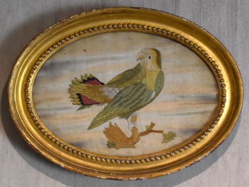 GEORGIAN NEEDLEWORK OF A PARROT BY SUSANNAH CLEVELAND - ADDITIONAL PHOTO 1