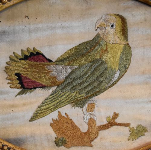 GEORGIAN NEEDLEWORK OF A PARROT BY SUSANNAH CLEVELAND - ADDITIONAL PHOTO 4