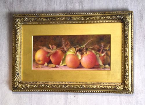 STILL LIFE WATERCOLOUR OF APPLES BY FRED SPENCER