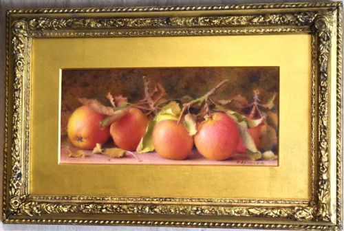 STILL LIFE WATERCOLOUR OF APPLES BY FRED SPENCER - ADDITIONAL PHOTO 1
