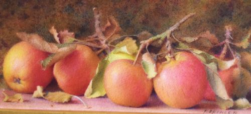 STILL LIFE WATERCOLOUR OF APPLES BY FRED SPENCER - ADDITIONAL PHOTO 3