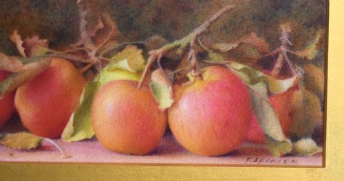 STILL LIFE WATERCOLOUR OF APPLES BY FRED SPENCER - ADDITIONAL PHOTO 4