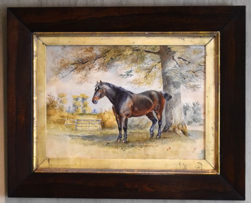 VICTORIAN WATERCOLOUR OF A HORSE - ADDITIONAL PHOTO 1