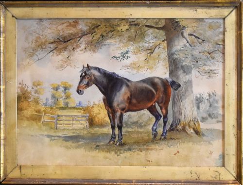 VICTORIAN WATERCOLOUR OF A HORSE - ADDITIONAL PHOTO 2
