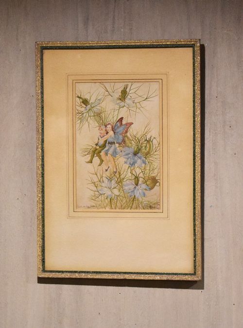Flower Fairy Watercolour ‘Love-in-the-mist’ by Marjorie L Davies