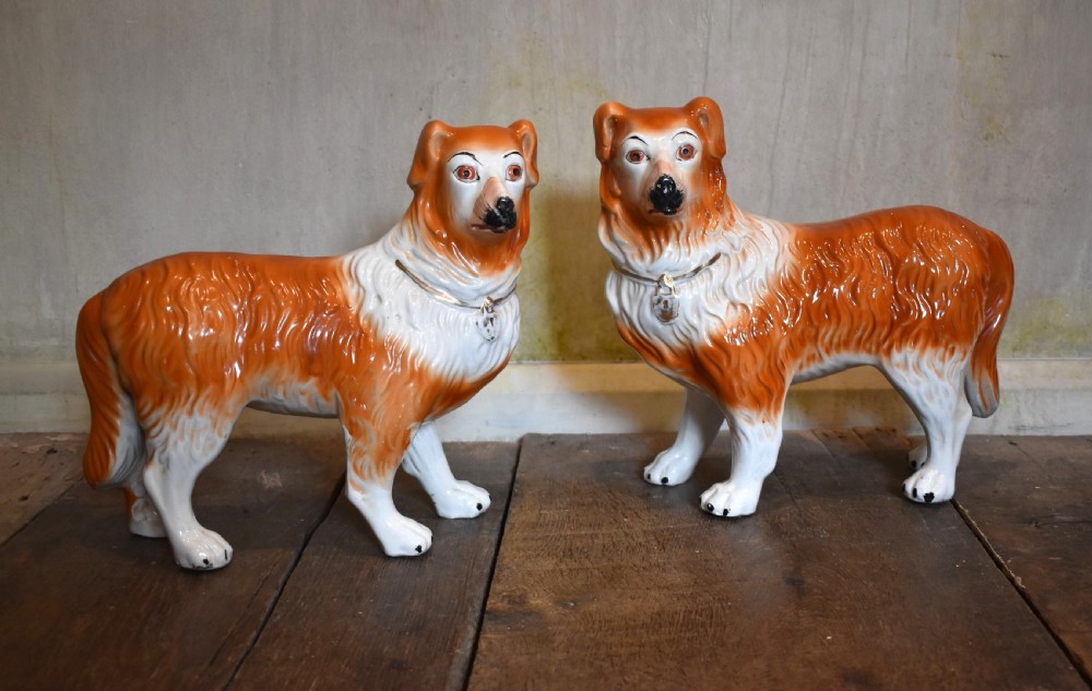 Pair of Staffordshire collie dogs
