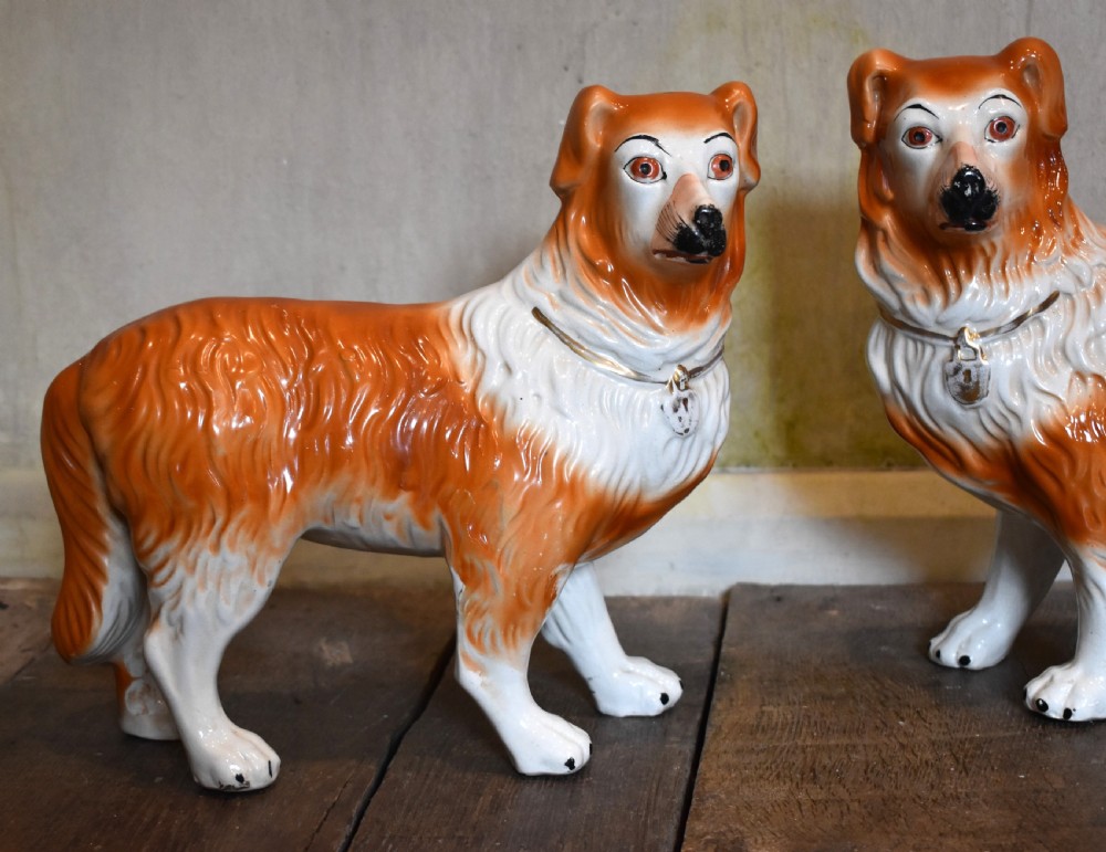 Pair of Staffordshire collie dogs View II