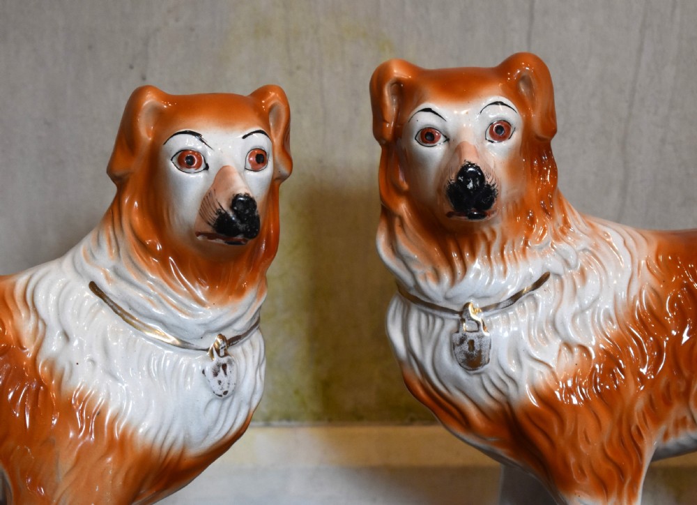 Pair of Staffordshire collie dogs View III