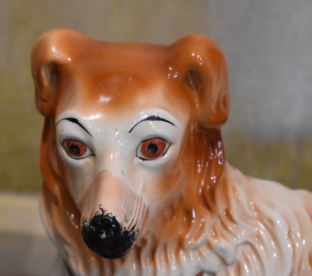 Pair of Staffordshire collie dogs View IV