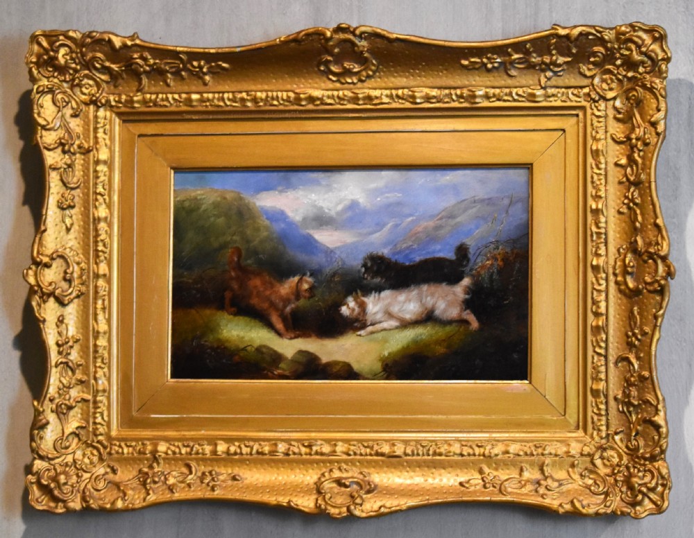 Oil painting of terriers by George Armfield 1810-1893 View II