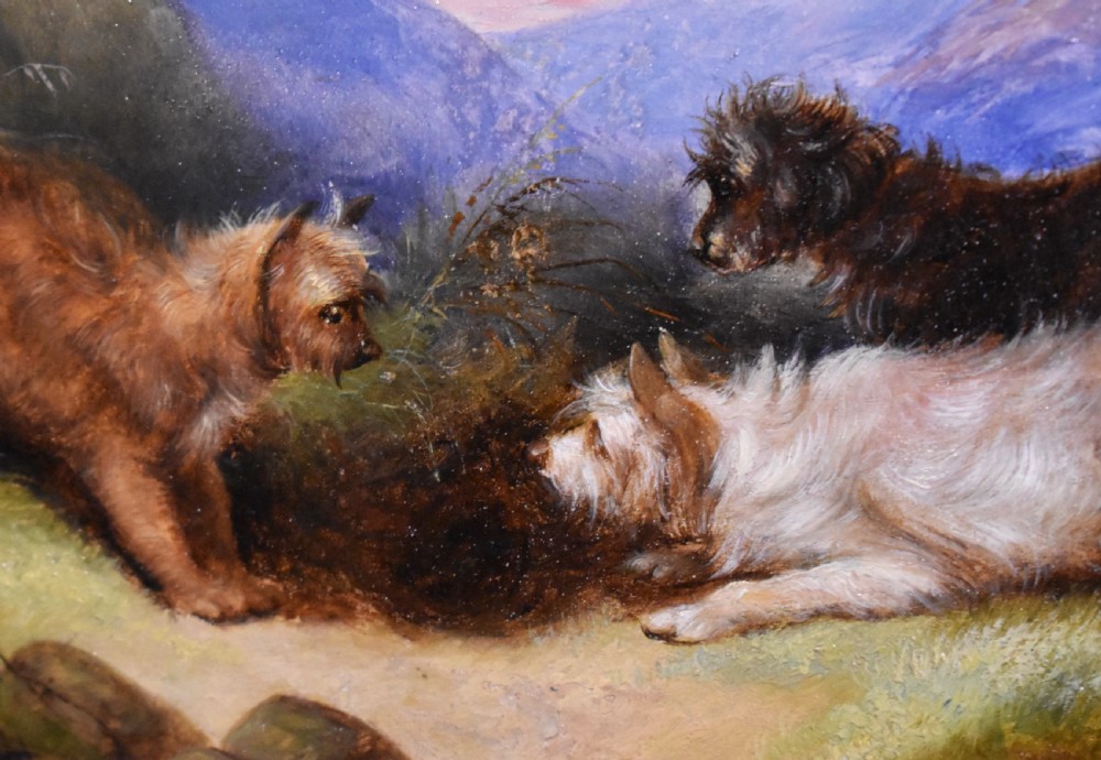 Oil painting of terriers by George Armfield 1810-1893 View VI
