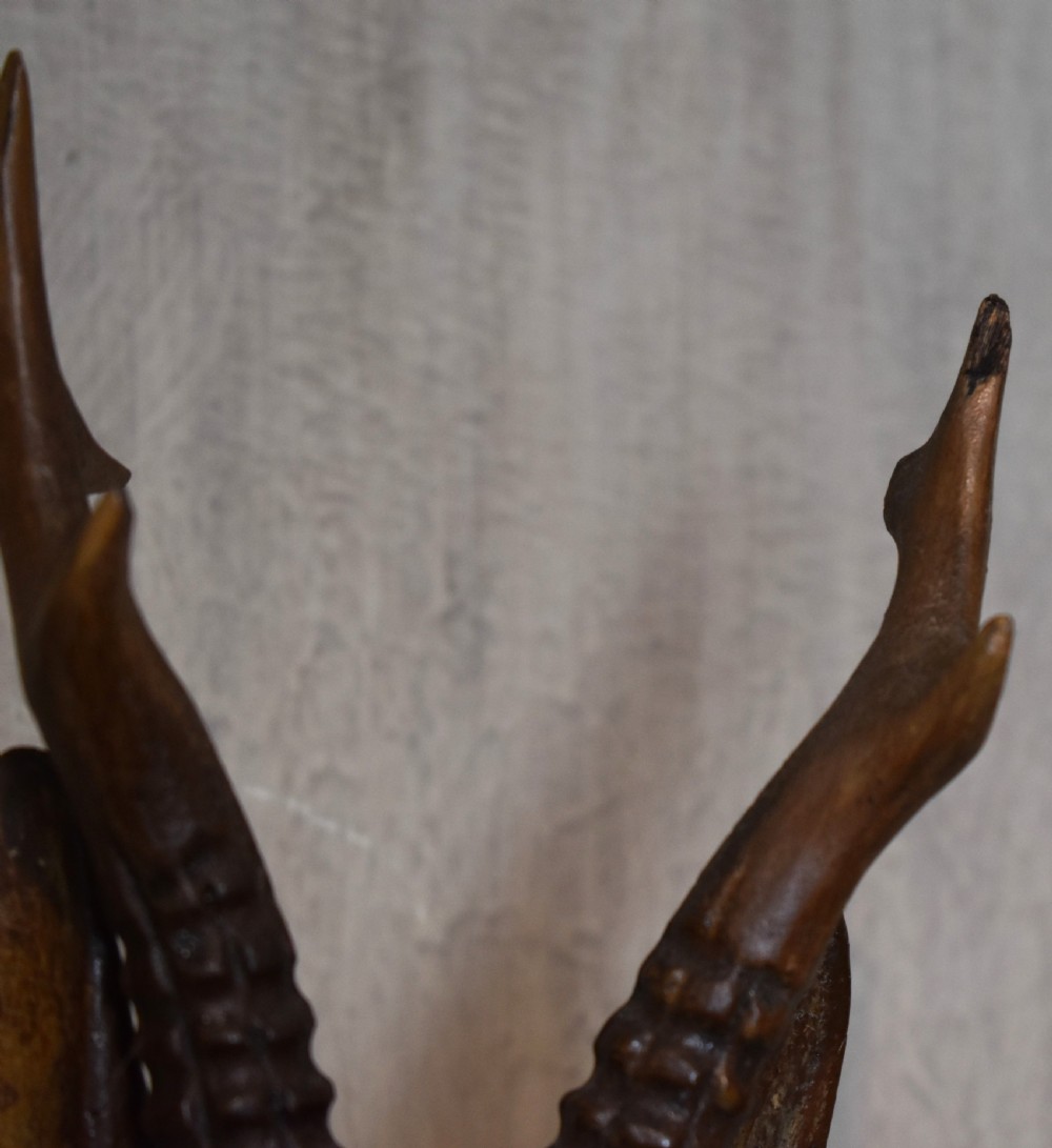 A pair of Black Forest carved wood deer heads View VIII