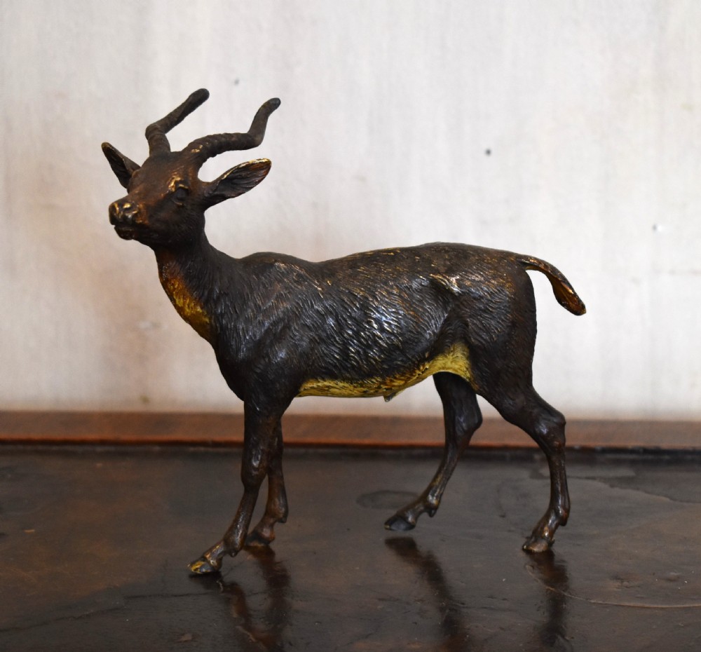 An Austrian cold-painted bronze figure depicting an antelope standing in profile with textured fur details and curved horns.