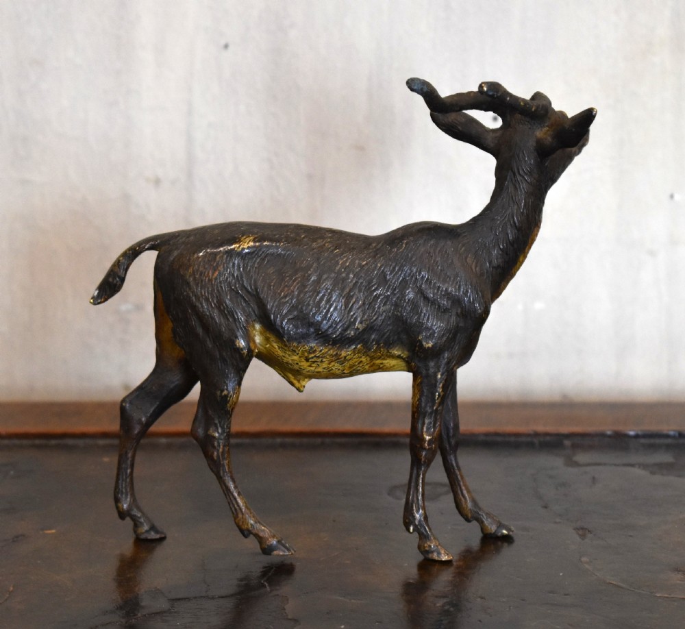 An Austrian cold-painted bronze figure depicting an antelope standing in profile with textured fur details and curved horns. View V