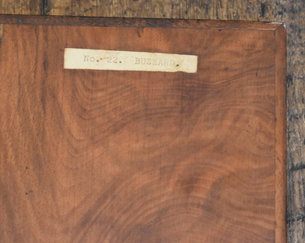 Marquetry panel depicting a buzzard View VI