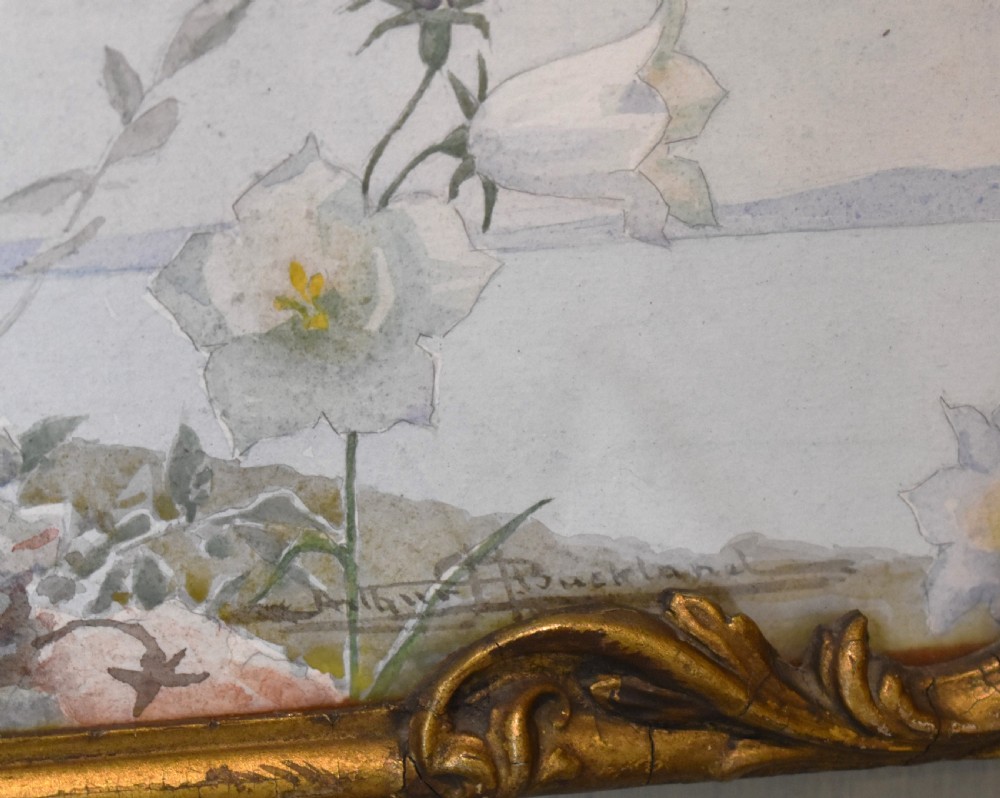 Fairy bells watercolour by Arthur H Buckland View VII