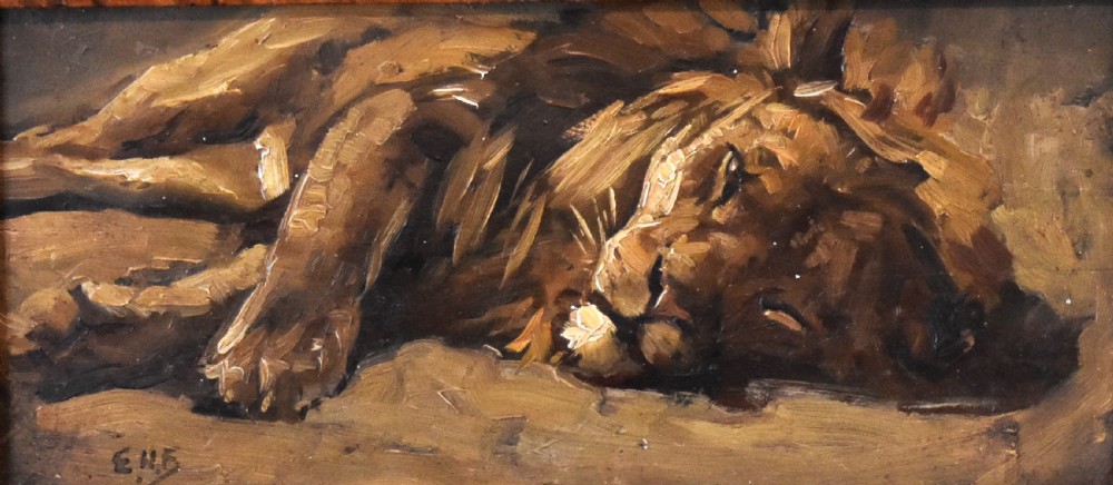 Oil sketch of a sleeping lion View IV