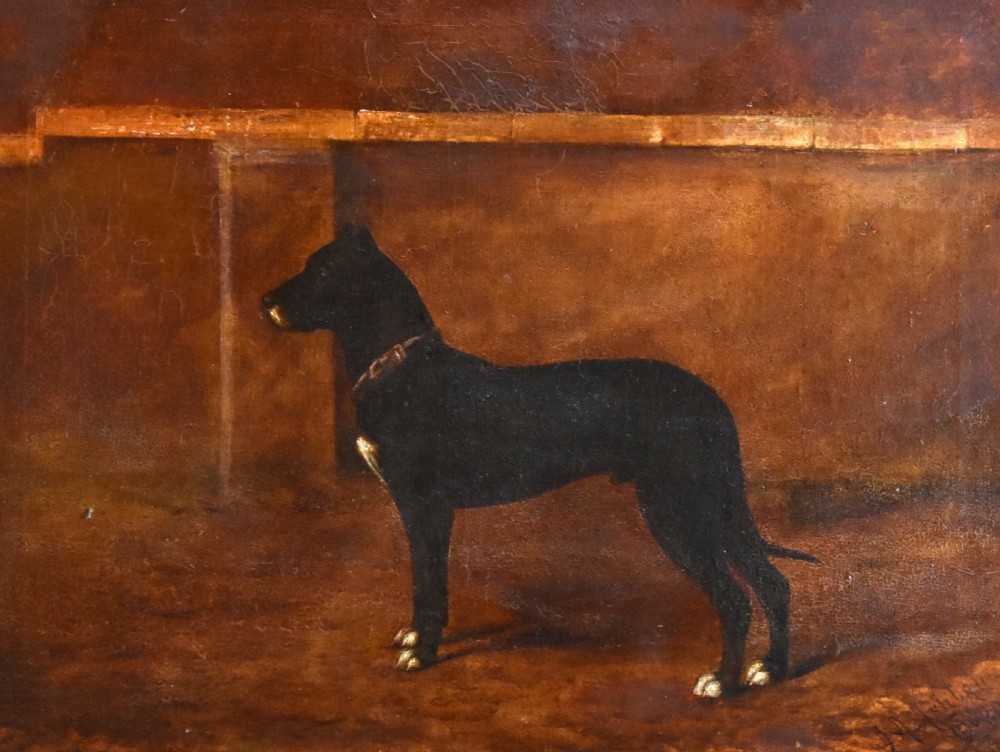 Dog portrait oil painting of a great Dane View II