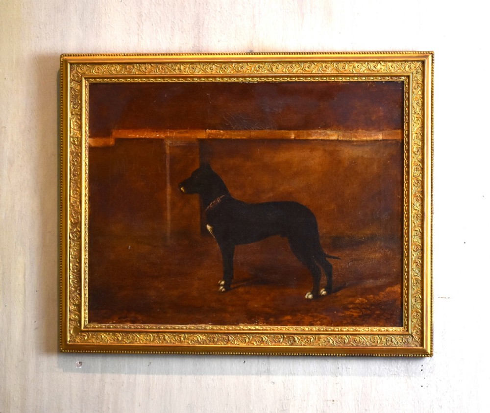 Dog portrait oil painting of a great Dane