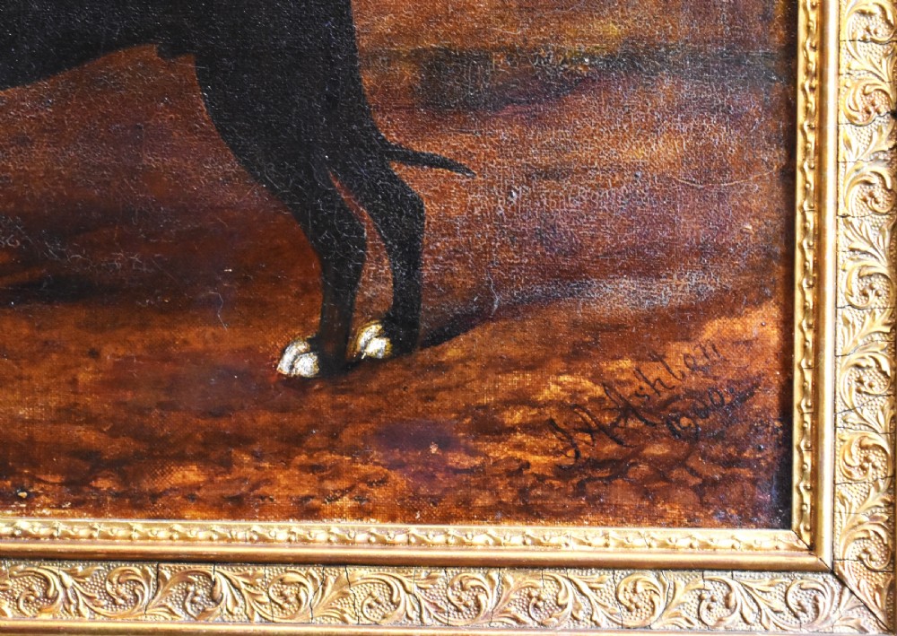 Dog portrait oil painting of a great Dane View IV