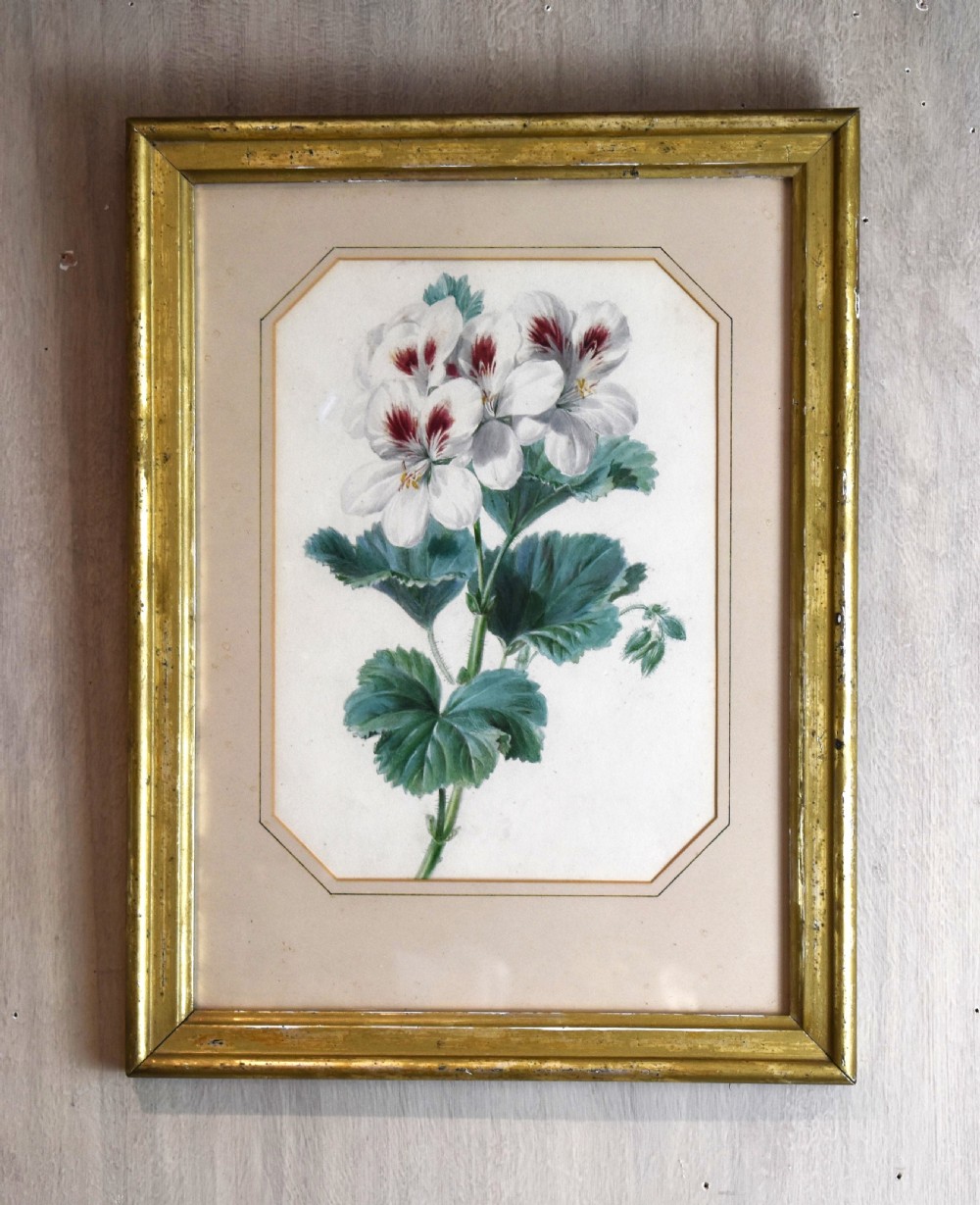 Pair of watercolours of flowers by Valentine Bartholomew 1799-1879 View II