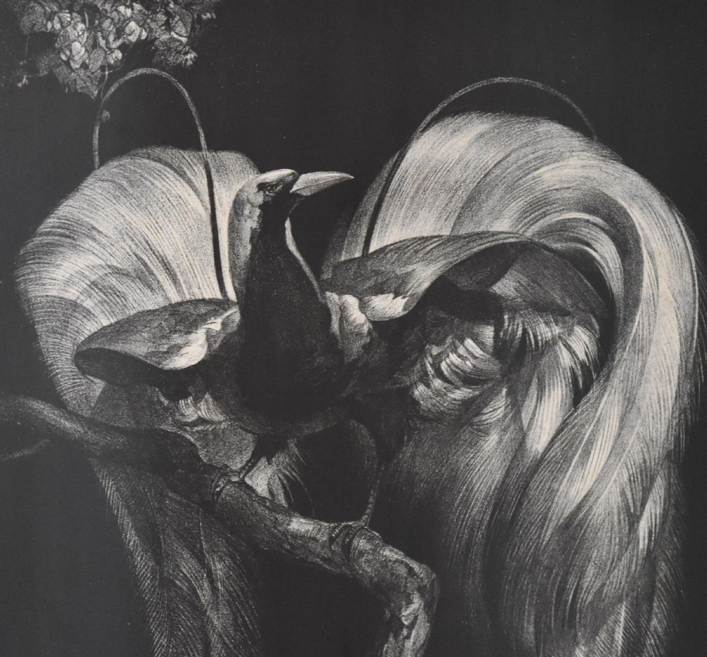 Art Deco print of a bird of paradise by Adriaan Van T’hoff View IV
