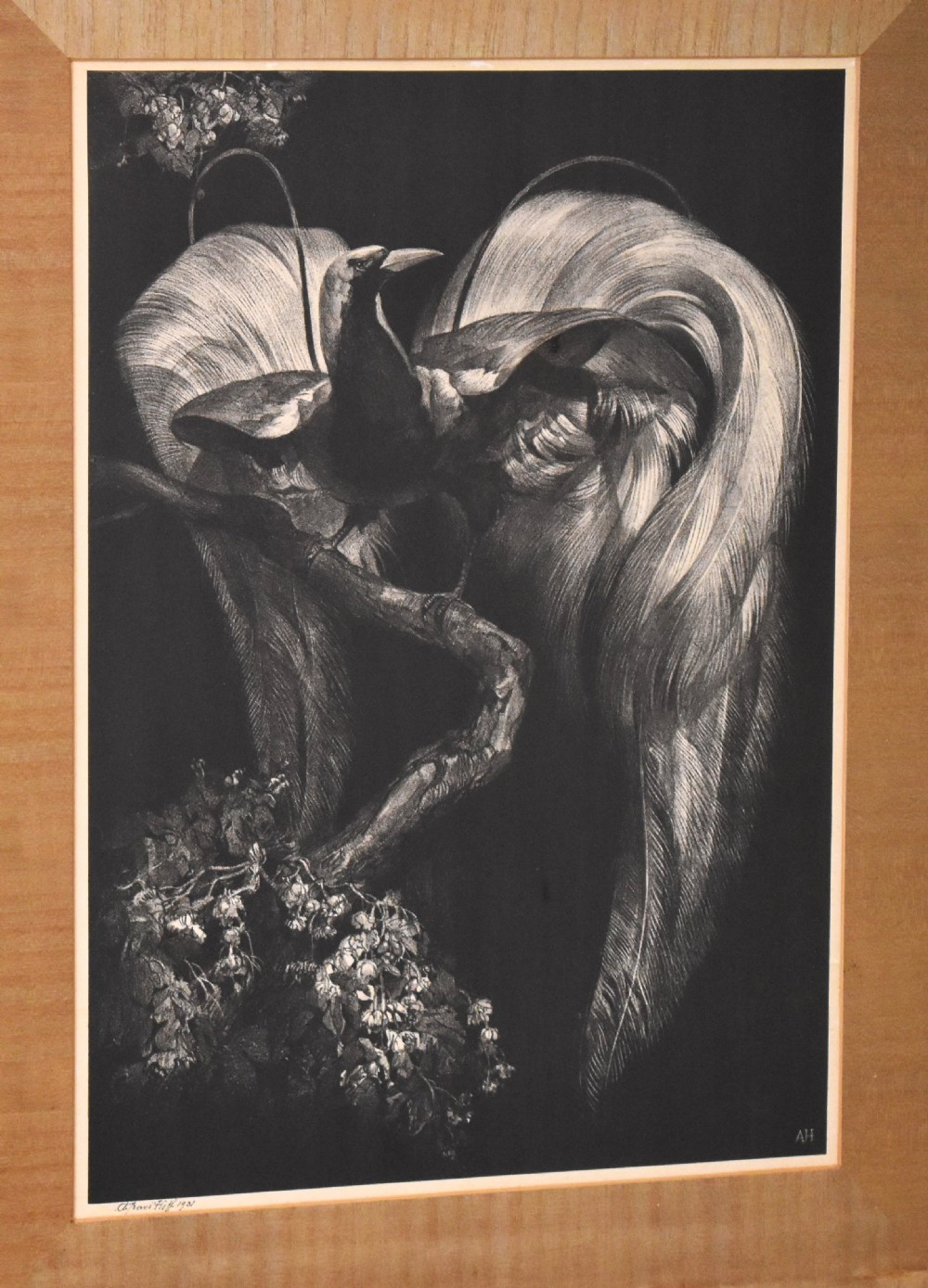 Art Deco print of a bird of paradise by Adriaan Van T’hoff View V