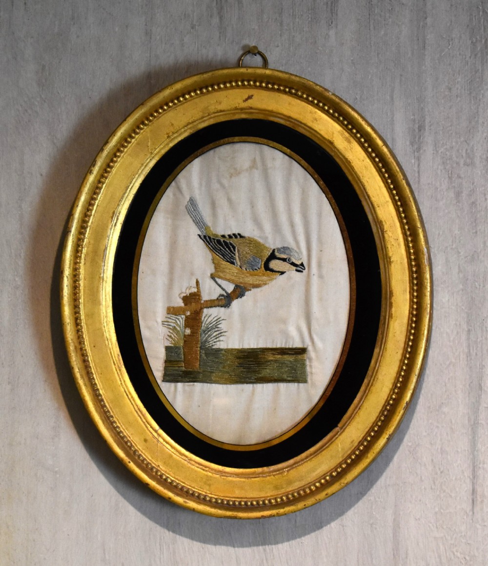 Georgian needlework of a blue tit by Susannah Cleveland