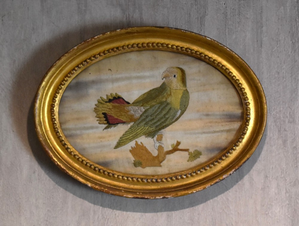 Georgian needlework of a parrot by Susannah Cleveland