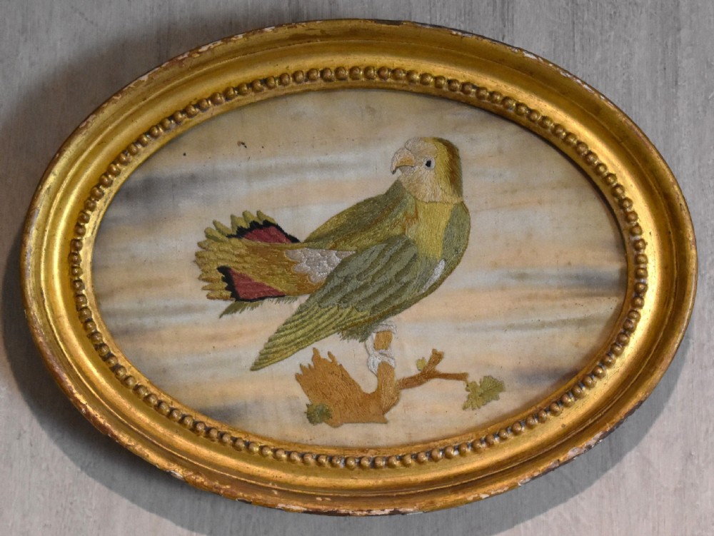 Georgian needlework of a parrot by Susannah Cleveland View II